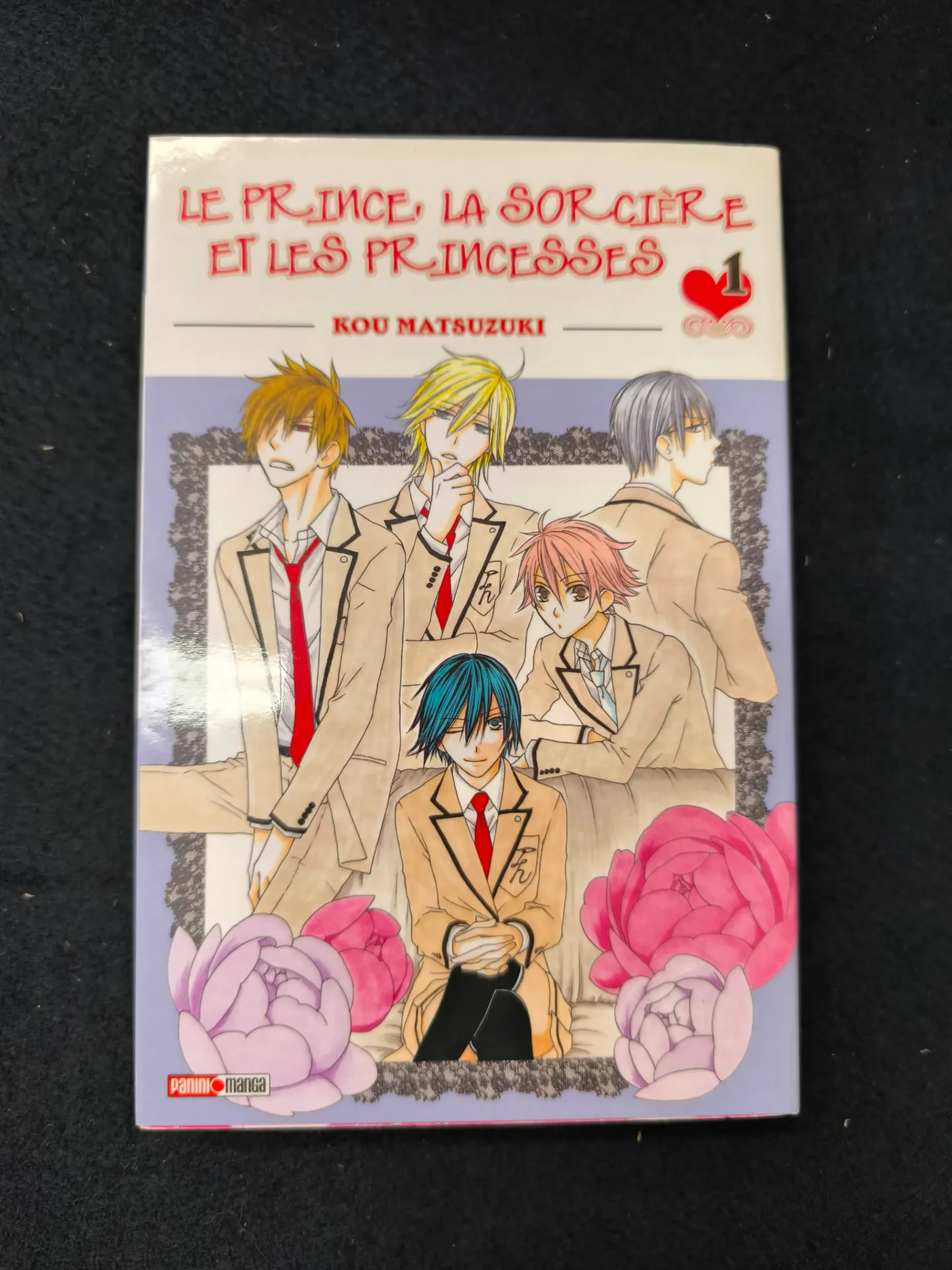 Le Prince, la Sorcière et les Princesses – Tome 1